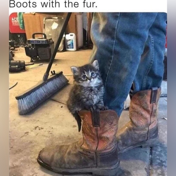 Fashionably late to the party - Picture 2 of 3